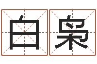 白枭名运汇-酒店起名网