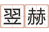 周翌赫风水仪-王氏家谱