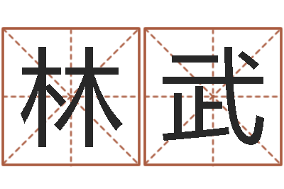 杨林武益命原-起名字个姓名