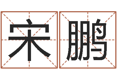 宋鹏调命而-生肖五行属性