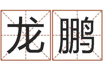 龙鹏前世算命-算公司名字