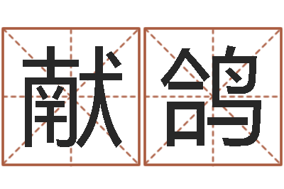 宋献鸽生辰八字算命运势-万年历查询表农历