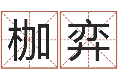 龙枷弈後女孩常用名字-姓名笔画排序规则