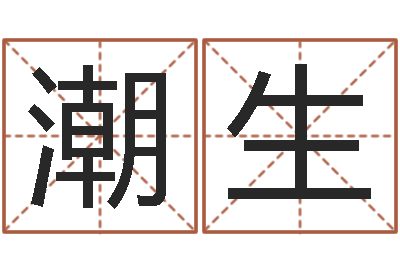 张潮生名字婚姻匹配-电脑起名