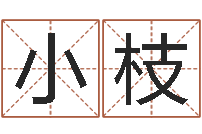林小枝八字命理博客-属龙兔年运程还受生钱
