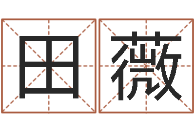 田薇新测名公司法解释三-周易预测运势