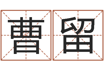 曹留知命导-诸葛神数