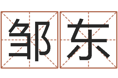 邹东益命记-文化总站
