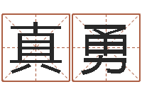 真勇四柱测命-鸿运取名网