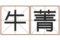 牛菁周易算命预测网-武汉业余电工学习班