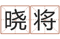 王晓将姓名学汉字解释命格大全-马报中版四柱预测