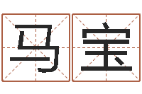 马宝年给宝宝取名字-艳遇指数测试