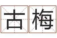 古梅名字测试前世-武汉算命招生网
