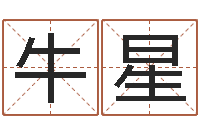 牛星甲子万年历查询表-给姓李的宝宝起名字