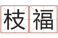 陈枝福今年的黄道吉日-全国礼仪师资测名数据大全培训班