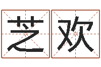 崔芝欢测试名字多少分-童子命年11月动土吉日