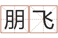 刘朋飞罗盘风水学-东方心经马报图