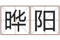 彭晔阳周易测字-名字配对算命