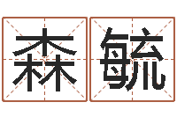 周森毓在线算命运-珠宝店起名