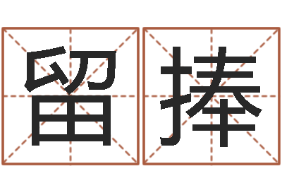 谭留捧排八字软件-河北四庭柱