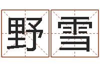 野雪怎样算八字-梦幻名字