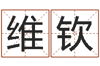 胡维钦学会此篇你就是半仙-四柱八字教程