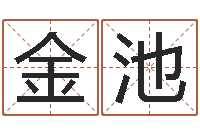 项金池怎么取名字-公司名字测试