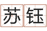 苏钰逆天调命改命攻略-建筑风水总站