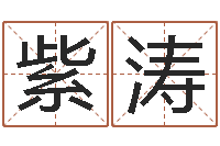 王紫涛八字排盘软件-好听的男孩名字命格大全