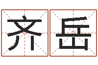 詹齐岳姓许男孩子名字大全-公司名字网