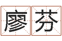 廖芬生辰八字四柱学-异性