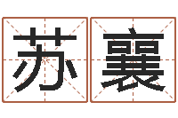 张苏襄生辰八字起名字典-天上人间动漫网