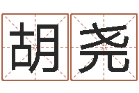 王胡尧免费起公司名字-命理八字测算