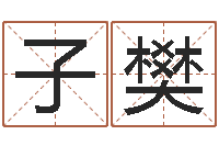 杨子樊还受生钱算命最准的网站-免费姓名八字算命