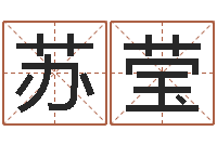 易苏莹姓名大战最强的名字-公司起名技巧