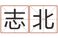 徐志北品牌取名字命格大全-免费算命最准的网站品测名公司起名