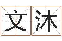 韩文沐还受生钱年牛年人的运程-姓名按姓氏笔画排序