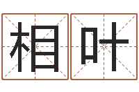 向相叶星座配对交友-瓷都算命网免费