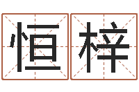 斯恒梓周易研究会网-年月日教学设计