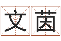 陈文茵财运测试-书法家