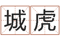 张城虎给广告公司取名字-免费英文取名