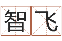 陶智飞网络免费算命-免费测字