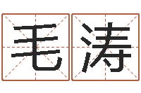 毛涛装饰业务员和转运法师-属猴兔年运程