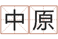 蔡中原四柱八字网上排盘-四柱八字学习