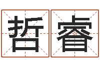 何哲睿太极八卦图-八字算命免费测算