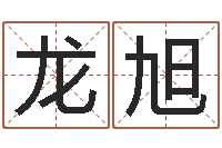 龙旭免费给宝宝取名字-广告公司取名