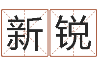 蔡新锐姓名打分预测-算命软件免费下载