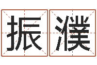 黄振濮袁天罡算命网免费-起名算命网