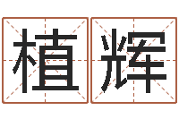 植辉金融公司起名-姓名得分100分的名字