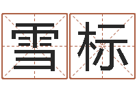 王雪标四柱八字在线免费算命-墓地风水培训